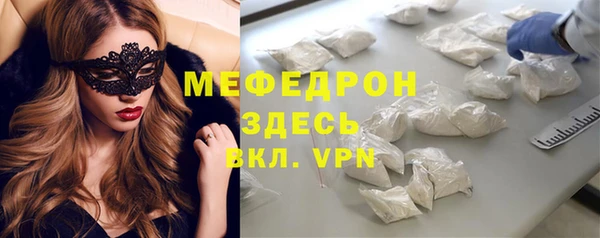 spice Богородицк