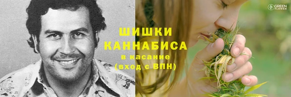 стафф Бородино
