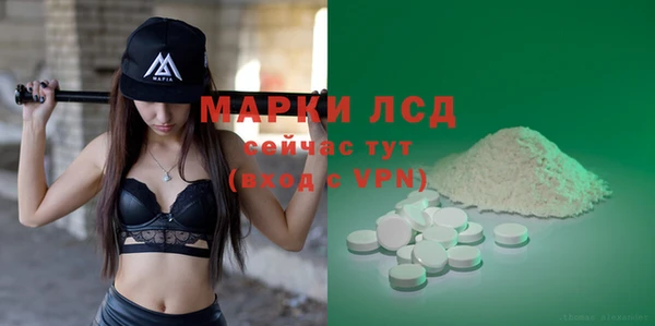 spice Богородицк