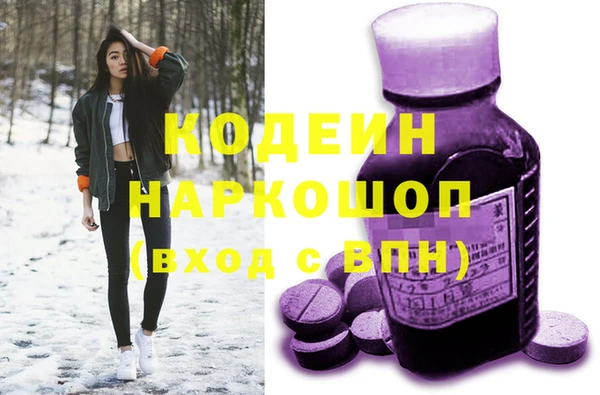 стафф Бородино