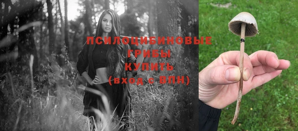 прущие крисы Верея